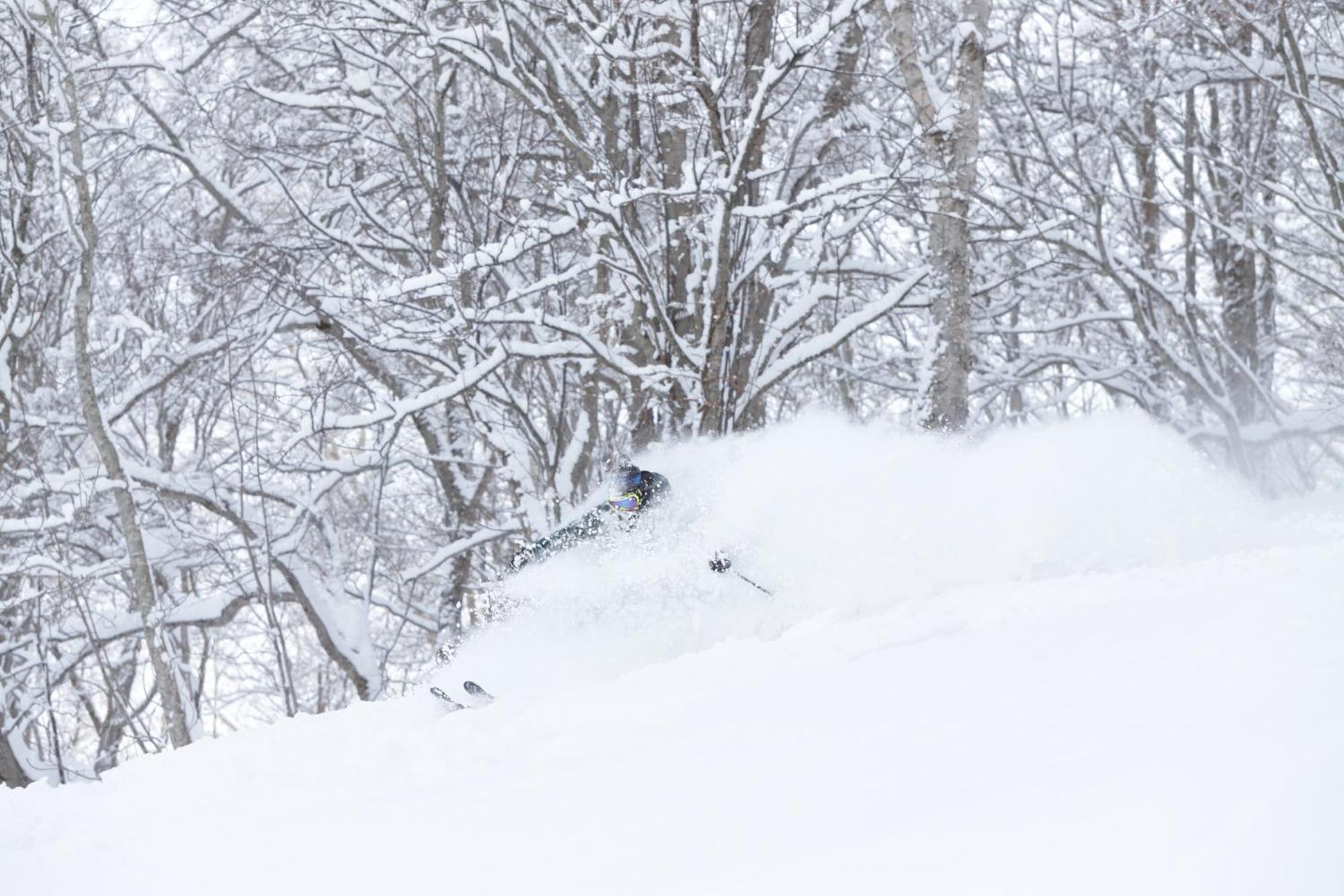 Niseko Highland Cottages Bagian luar foto