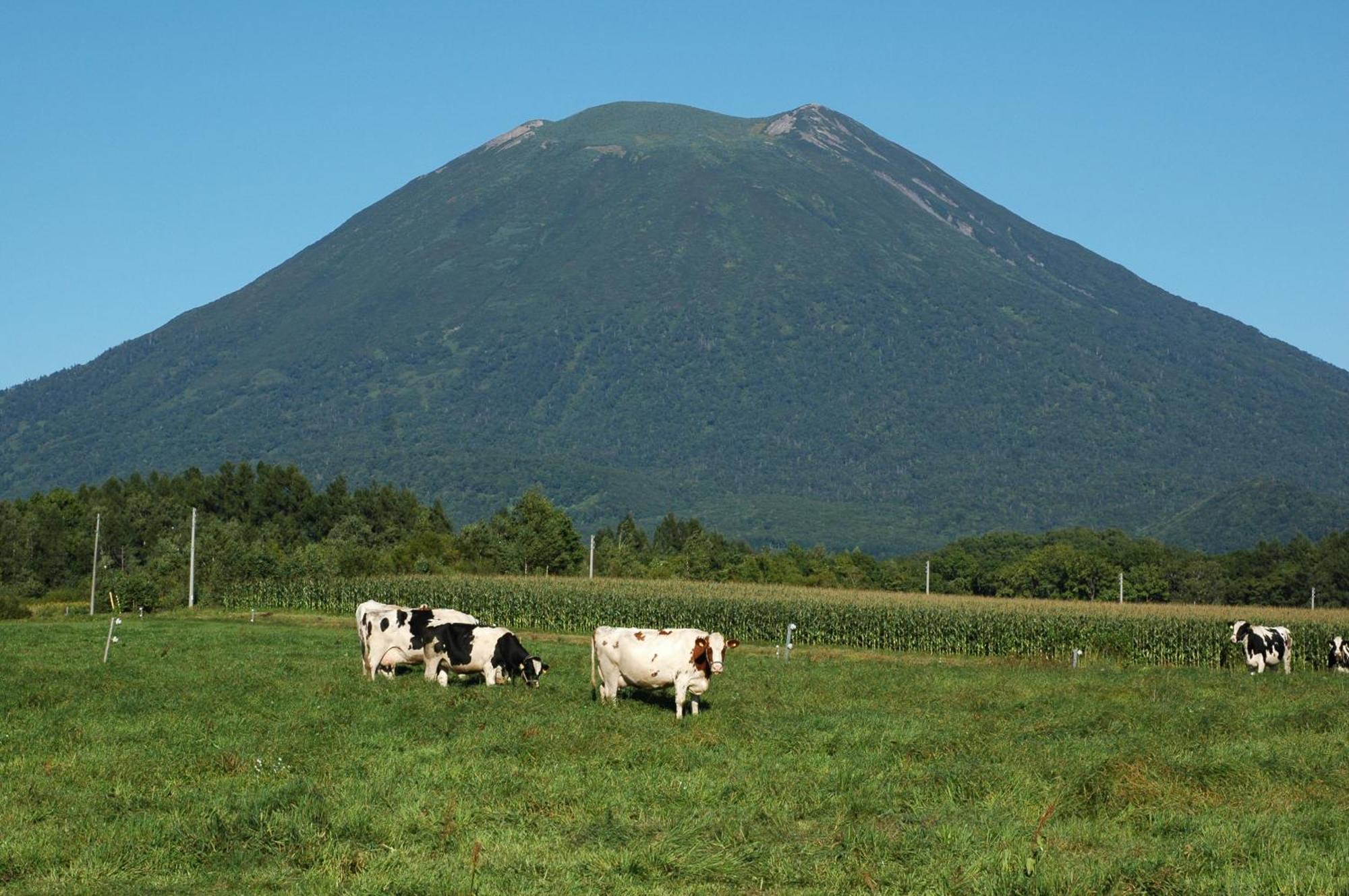 Niseko Highland Cottages Bagian luar foto