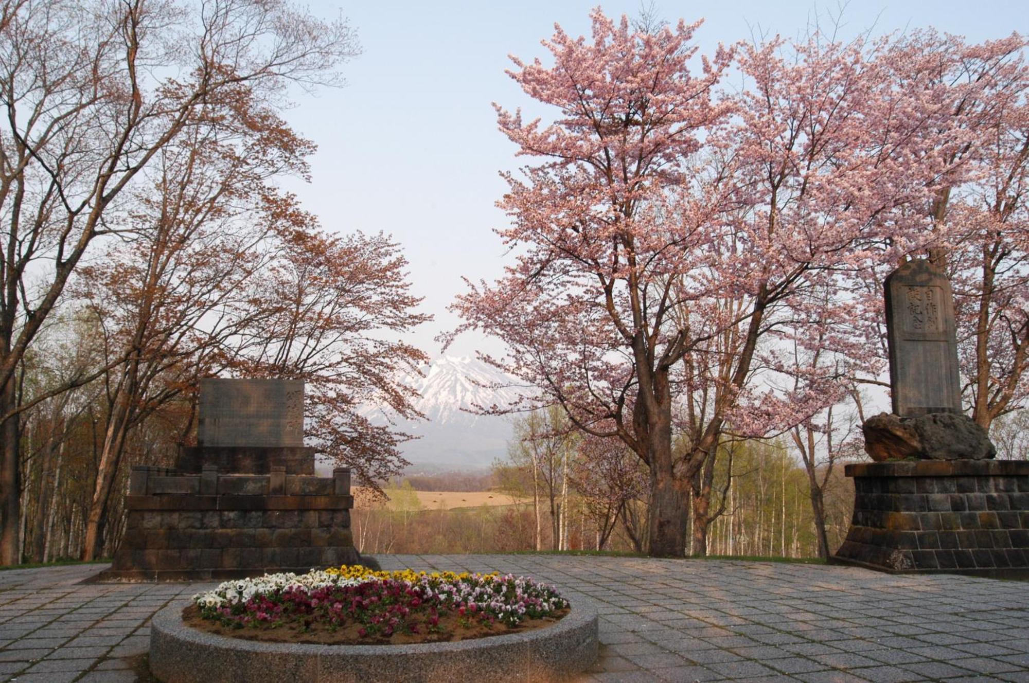 Niseko Highland Cottages Bagian luar foto