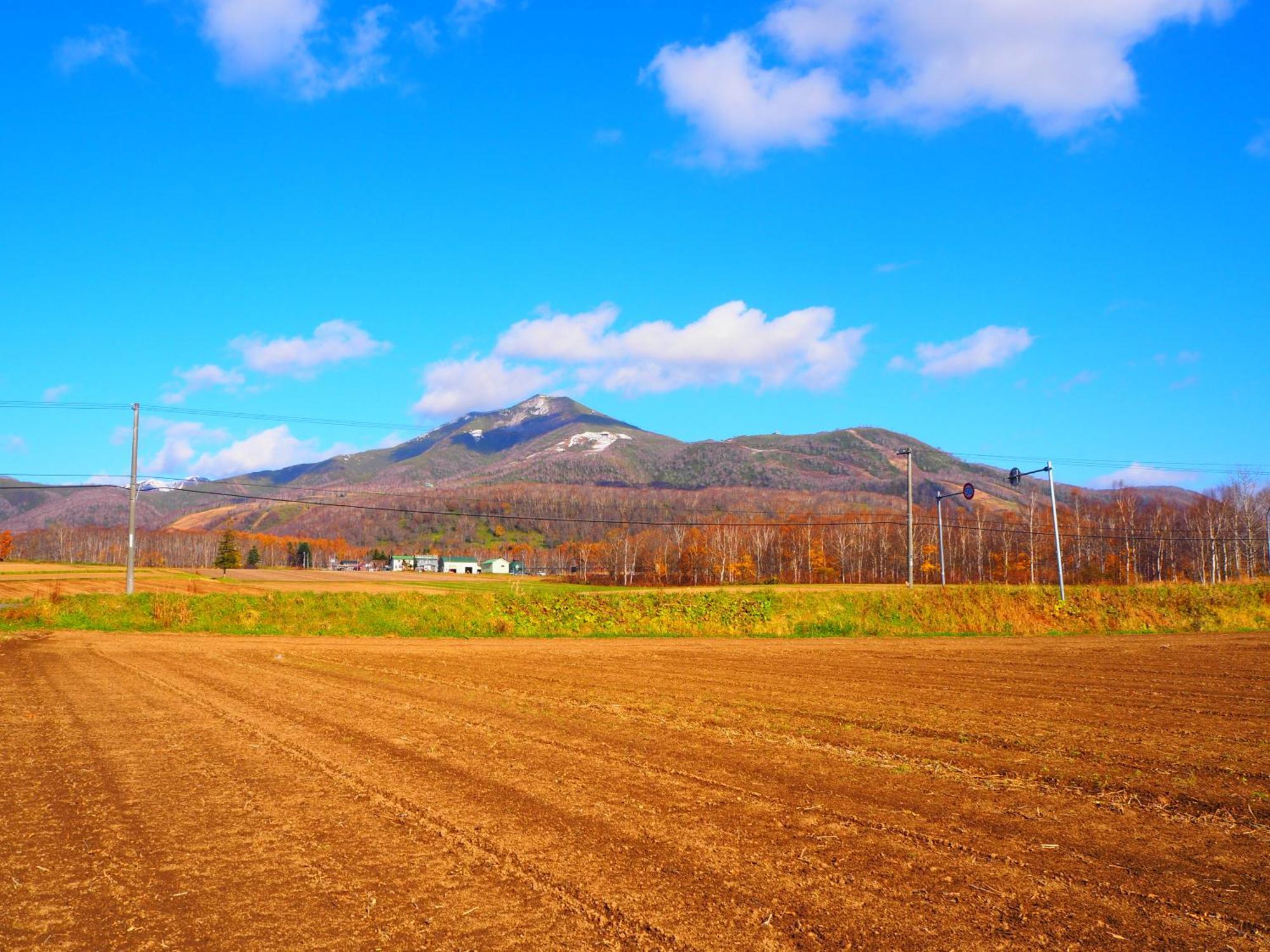 Niseko Highland Cottages Bagian luar foto